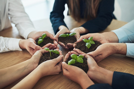手一样的植物没有任何东西能像团队合作一样支持增长 一群商务人士将植物从土壤中种植出来 他们被割掉了一针背景