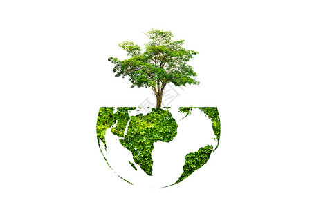 绿色地球海报背景白色隔离背景上绿色地球上的地球日树世界生物庆典行星生物学叶子环境明信片生长森林背景