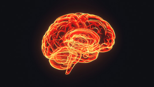 黑色背景3d的大脑全息图可视化动画片机器挖掘商业遗传网络人类解剖学科学虚拟现实概念上的高清图片素材