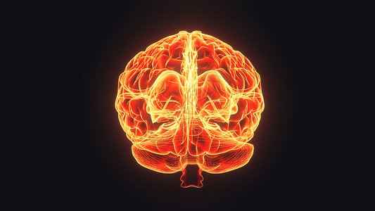 黑色背景3d的大脑全息图可视化药品过程机器创造力网络解剖学头脑知识分子遗传技术未来主义的高清图片素材