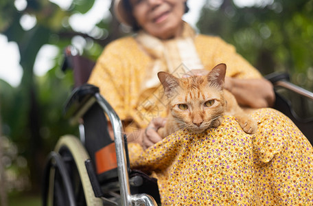 猫疗法关心日本人高清图片