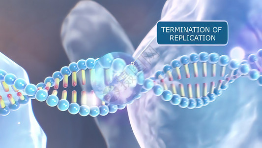 核糖体生物分子代码高清图片