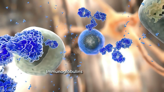 将抗体免疫学和免疫球蛋白概念视为一种对感染性病毒细胞和病原体进行攻击的抗体渲染医学生长抗原感染癌细胞微生物3d生活溪流背景图片