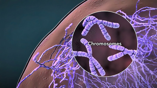 人体细胞分子细胞核中的染色体和DNA科学技术基因组制药药品疾病生物血细胞直升机紫色背景