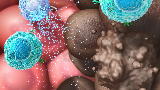 T细胞清扫肿瘤细胞生物形状免疫医学作用代谢机制文件医疗免疫学图片