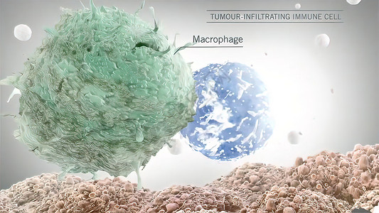 血液细胞PDL1途径的癌症免疫疗法科学医疗解剖学攻击分子3d插图抗体细菌癌细胞背景
