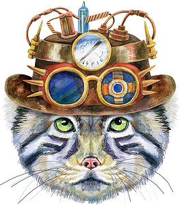 帕拉斯猫水彩色的马努尔猫肖像 挂在蒸汽袋帽上 白底有谷歌背景