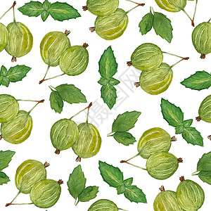 手绘薄荷无缝水彩手绘图案与绿色黄色醋栗浆果和薄荷叶 有机强烈明亮鲜艳的色彩健康新鲜美味的食物素食素食维生素在白色孤立的背景背景