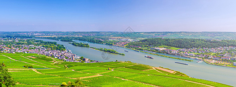 中间莱茵河谷看法葡萄园高清图片
