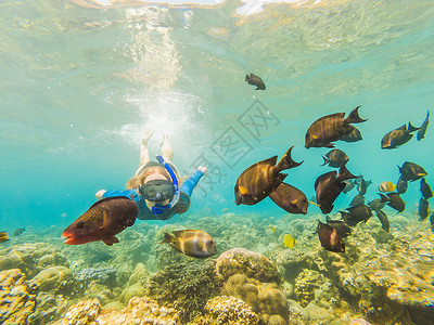 戴着浮潜面具的快乐女人在珊瑚礁海池中与热带鱼一起潜入水下 旅行生活方式 水上运动户外探险 夏季海滩度假游泳课程娱乐家庭海洋潜水女自然高清图片素材