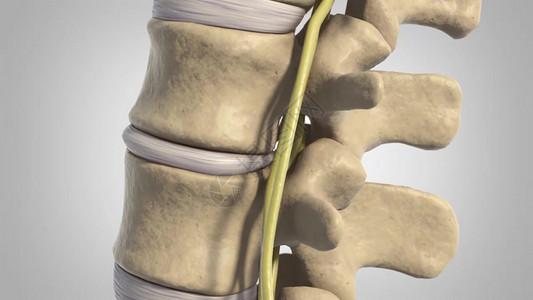 踝脊髓的磁盘移动状况骨骼肩膀药品光盘疼痛骨赘椎骨保健蓝色背景