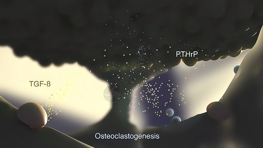 骨质激素是一种细胞 它分解骨骼组织 释放钙供身体使用审查矩阵生长吸收骨细胞数字组织学软骨修理生物学背景