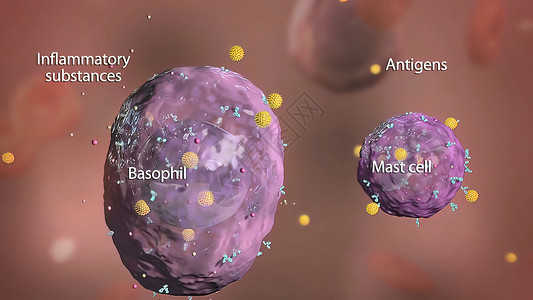 溶瘤病毒免疫系统中的巴索菲和杆细胞攻击防御细胞癌细胞酵素吞噬细胞白细胞抗原淋巴微生物背景