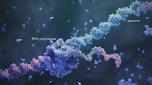遗传疾病生物技术核糖核酸高清图片