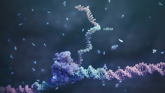 遗传疾病代谢核酸酶高清图片