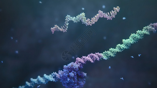 核糖核酸3d 表示单一直线肋膜酸的示例 RNA 研究和治疗酵素插图科学遗传接口实验室核糖体感染高分子传播背景