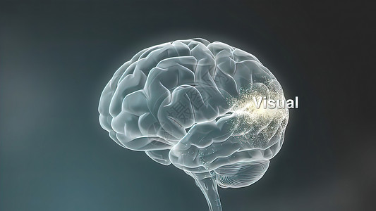 人头扫描素材3D人脑中多莉 在合力期用神经进入大脑生物计算机医学风暴半球枝晶想像力思维大脑皮层电脉冲背景