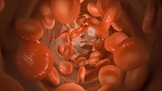 氧气流穿过刺膜运输动脉血细胞毛细管静脉代谢饥饿葡萄糖细胞科学图片