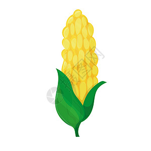 黄色卡通玉米白色背景的玉米矢量 可爱的卡通图像 收获的概念背景