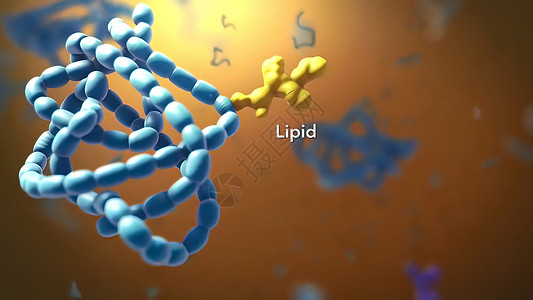 分子结构背景进入分子结构分子 排列整齐的分子 3D 插图身体染色体显微镜动物细胞生物学技术科学治疗基因组背景