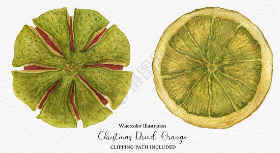 圣诞水色干灰橙子绿色花环水彩艺术新年圆形花圈手绘背景图片