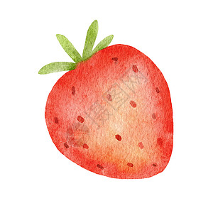 草莓水彩以白色背景隔绝的夏季白莓树脂画样图 用时态图解背景