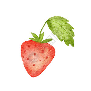 草莓水彩水彩可爱的草莓与绿叶 在白色背景下孤立的夏季浆果的程式化绘图插图背景