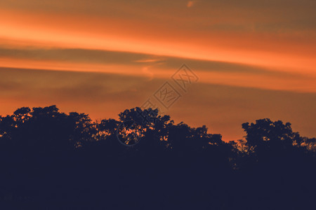 森林树的自然背景 多颜色的日落 美丽的自然背景冒险艺术太阳天际日出旅行松树全景天空公园轮廓高清图片素材