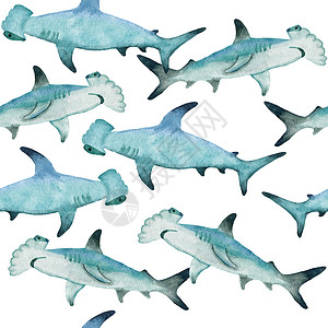 手绘长尾鲨手绘水彩无缝图案与锤头鲨 海海洋海洋动物 航海水下濒危哺乳动物物种 用于织物托儿所装饰的蓝灰色插图 海底印花背景