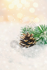 常绿冷杉圣诞装饰品 雪中的松果 有选择的焦点蓝色假期季节庆典装饰新年木头卡片横幅云杉背景