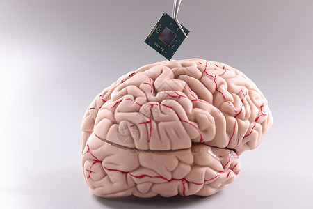 人大脑用电脑芯片解剖人的大脑背景