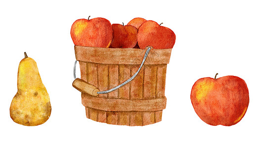 手绘红色苹果手画水彩色图解篮桶苹果梨 秋天有机丰收农庄小屋艺术 感恩节剪辑背景