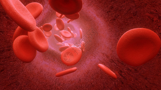 蛋白细胞血液细胞通过动脉或静脉流出3度循环宏观身体流动血管感染血流生物实验室微生物学背景