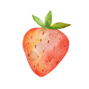 浅色水平面元素浅色水彩 可爱的草莓和绿叶子 在白色上隔绝的夏季红莓的典型绘画插图水果浆果植物花园草图叶子市场食物甜点饮食背景