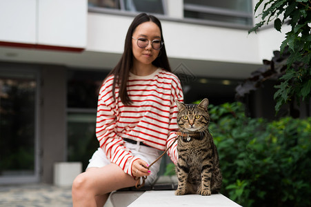 散步女孩和猫年轻女人和小猫坐在户外的长椅上叶子后院捕食者草地胡须虎斑猫科马具动物皮带背景