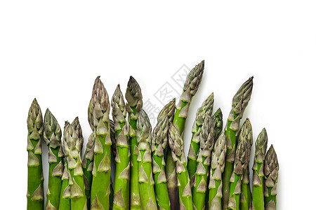 维生素原B5白色背景上隔离的食用生虫芽原毛发食物饮食发芽蓝色草本植物绿色美食健康花园营养背景