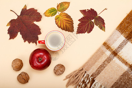 格子主题素材秋天主题 干叶 咖啡 苹果 核桃和蜜蜂背景的格子背景