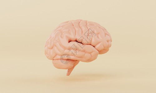 模型图标黄色背景的橙色简单脑脑模型 医学保健和抽象物体概念 3D 插图说明Name  1a心理学大脑知识分子生物学器官天才药品思考智慧身背景