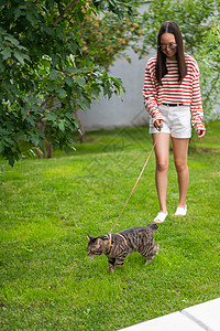 散步女孩和猫年轻女子在户外走着小猫咪皮带捕食者叶子尾巴宠物哺乳动物猫科虎斑草地友谊背景