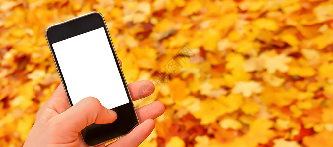 空白移动模型智能手机空白屏幕手机自然秋季横幅 落叶秋天手机样机手拿着智能手机自然秋天背景树叶飘落 屏幕移动手背景图片