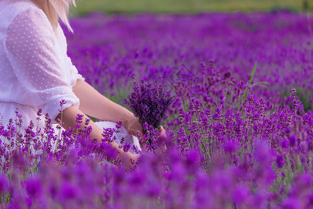 紫衣女孩穿白裙子的紫衣花朵的女人 乌克兰温泉紫色蓝色草地旅行女性芳香农村幸福帽子背景