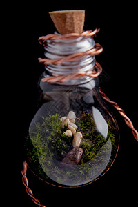 灯泡玻璃容器带石块的花粉灯环境装饰风格石头植物花瓶碎石灯泡生态瓶子背景