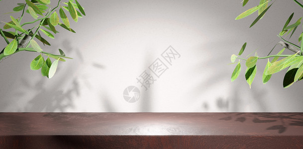 品牌展览的空红石桌面 抽象平面墙背景与热带树叶在侧面和阴影叶效果 3D 渲染图背景图片