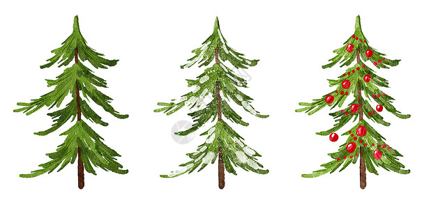 松树手绘圣诞树的水彩手绘插图 冬季新年常绿冷杉松树云杉植物 12 月季节庆典设计 邀请卡的节日派对打印 隔离在白色背景假期卡片树木艺术森背景