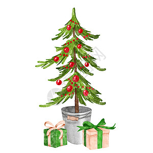 圣诞节手绘水彩水彩手绘松树圣诞树 上面装饰着可爱的红色装饰品 用灰色的斯堪的纳维亚容器 金属桶呈现礼品盒 冬季假日云杉冷杉树设计采用北欧简约舒背景