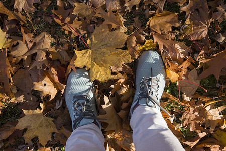 蓝色运动鞋 在秋天的一堆秋天 落下黄色的山坡叶高清图片