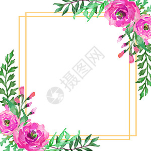 手绘花卉花圈水彩花框广场 优雅的花卉系列 有孤立的粉红色叶子和花朵 手绘水彩 请柬 婚礼或贺卡的设计背景