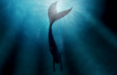 游泳的美人鱼美人鱼在深蓝色大海中孤独游泳的剪影照片 - 此图像上的所有设计均由专业团队为这张照片拍摄从头开始创建背景