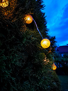 挂在树上的小亮光球礼物灯泡蓝天绿色假期天空辉光庆典树木季节背景图片