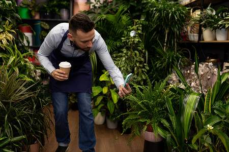 网上花店素材花店家在网上商店拍摄手机上栽培植物的照片 供销售背景